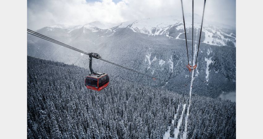 Whistler Experience