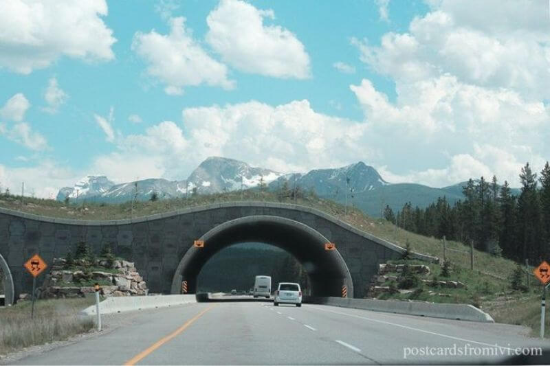 Majestic Rockies Banff to Jasper: Views, Peaks, Adventures