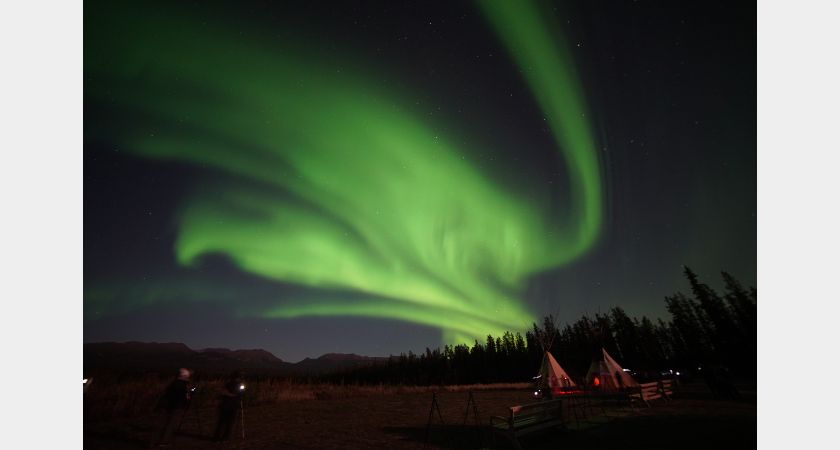Best Value Aurora Viewing - Wildlife & Hot Springs - Summer, Whitehorse, YT