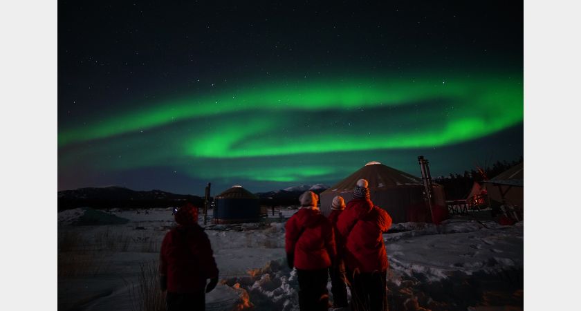 Best Value Aurora Viewing - Snowshoeing, Wildlife & Hot Springs - Winter - Whitehorse, YT