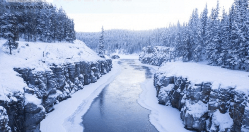 Best Value Aurora Viewing - Snowshoeing, Wildlife & Hot Springs - Winter - Whitehorse, YT