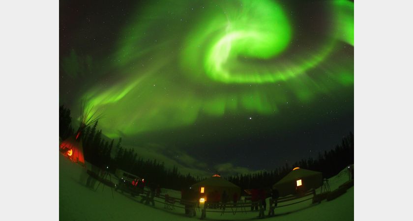 Best Value Aurora Viewing - Snowshoeing, Wildlife & Hot Springs - Winter - Whitehorse, YT
