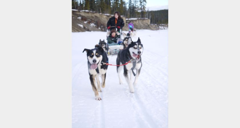 Active Winter Adventure - Yukon Winter Dream