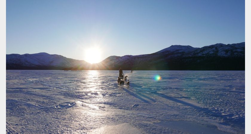 Arctic Heartbeat - Active Winter Adventure
