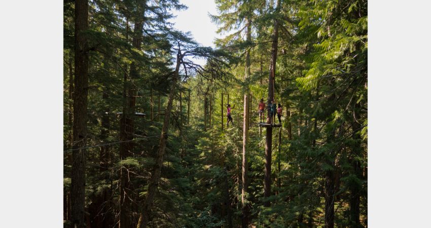 Whistler - Aerial Obstacle Course