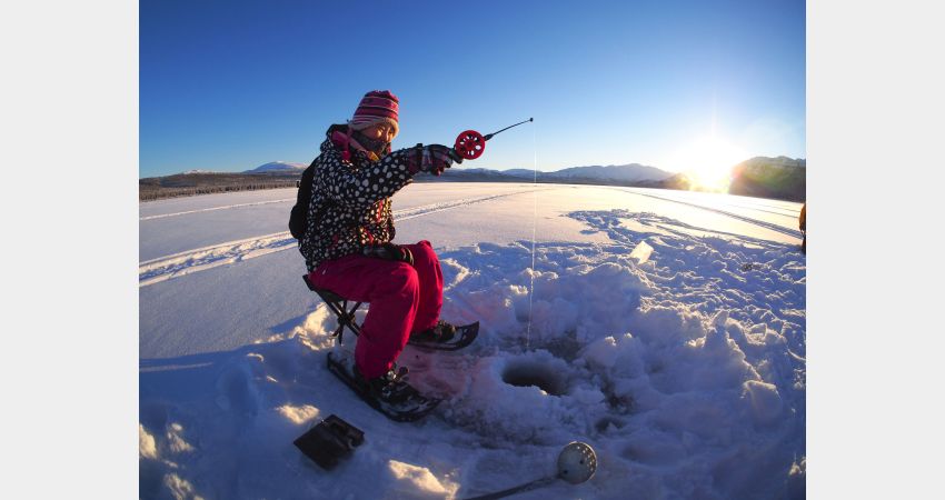 Arctic Day: Ice Fishing & Snowshoeing | Half Day