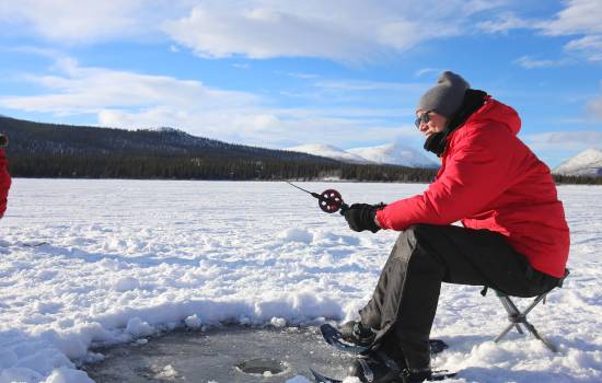 Arctic Day: Ice Fishing & Snowshoeing | Half Day