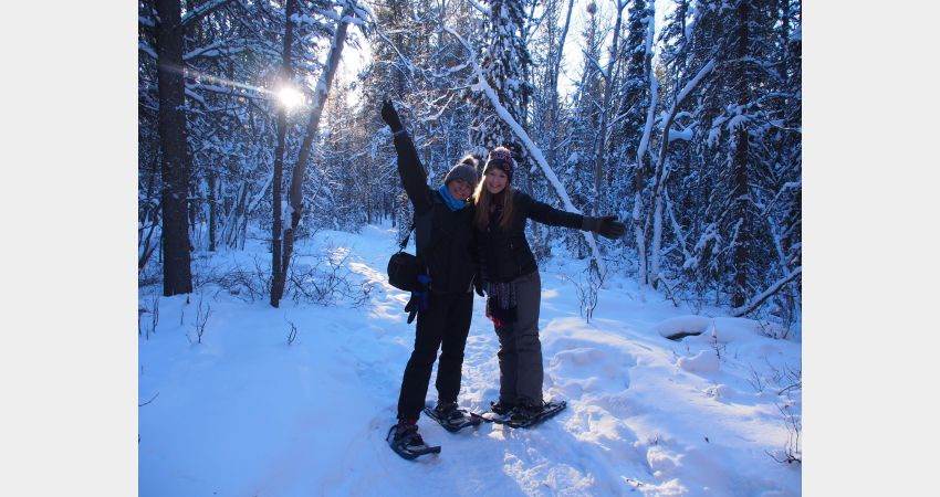 Arctic Day: Snowshoeing | Half Day