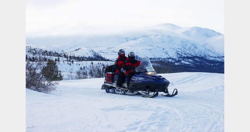 Arctic Day: Snowmobiling | Half OR Full Day