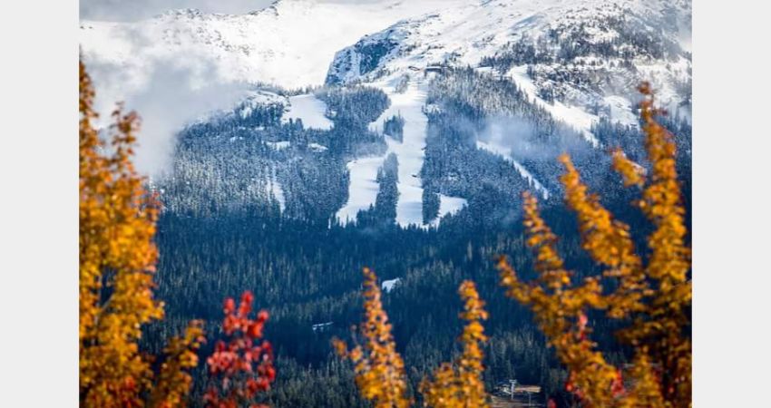 Whistler - Peak 2 Peak Gondola