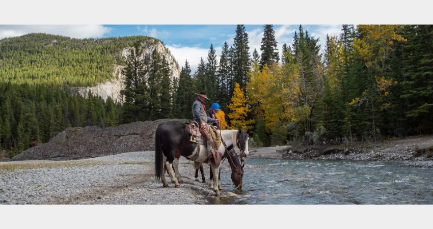 Banff - Sulphur Mountain Ride