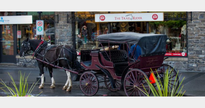 Banff - Private Carriage Rides - Downtown Tour