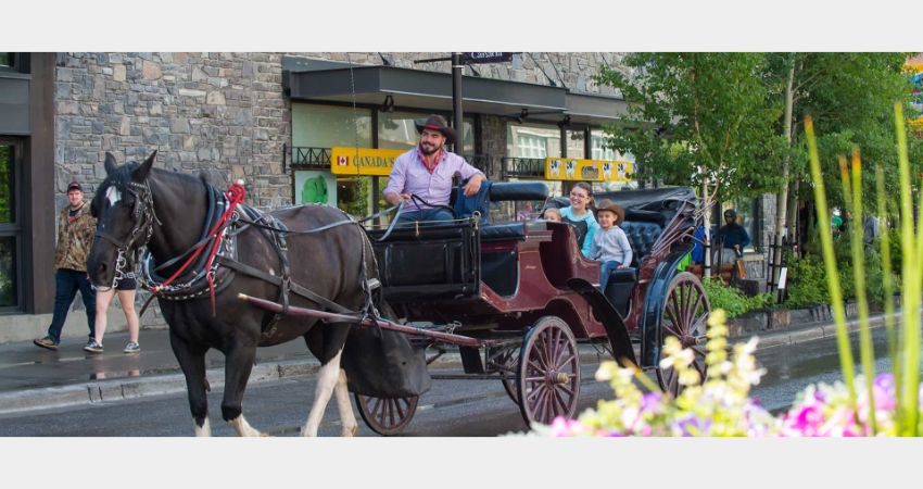 Banff - Private Carriage Rides - Downtown Tour