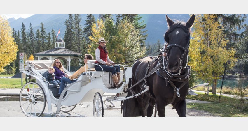 Banff - Private Carriage Rides - Fairmont Banff Springs Tour