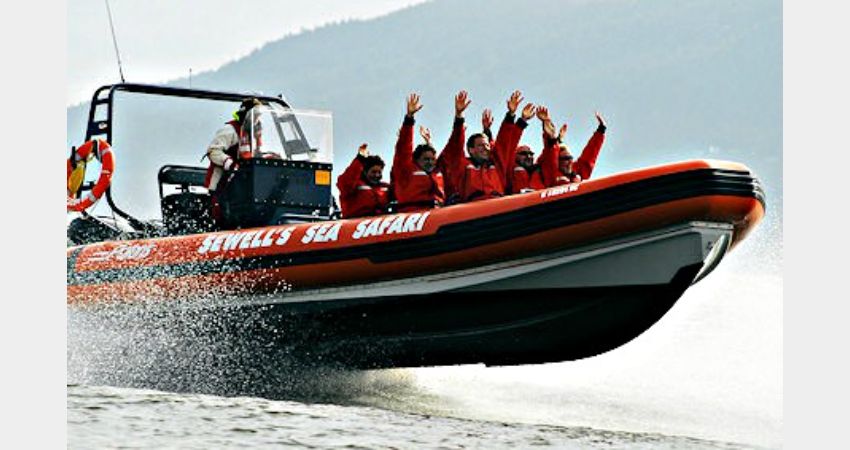 Vancouver – Sea to Sky Highlights & 1 Hour Sea Safari Boat Tour