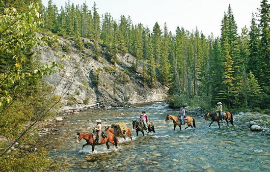 Banff – Bow Valley Loop Ride