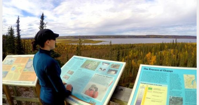 Dawson City And The Dempster Highway