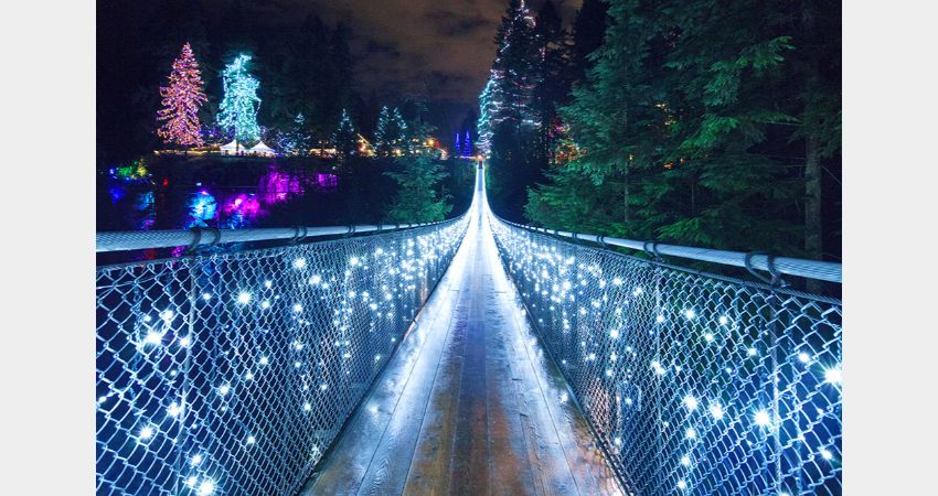 Vancouver Canyon Lights Winter Festival