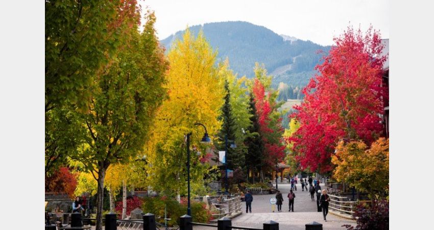 Luxury Holidays – Vancouver & Whistler