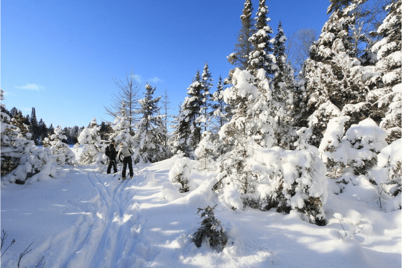 3-Day Canadian Winter Log Cabin Adventure