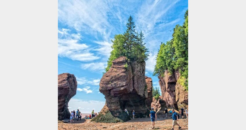 Wonders of the Bay of Fundy