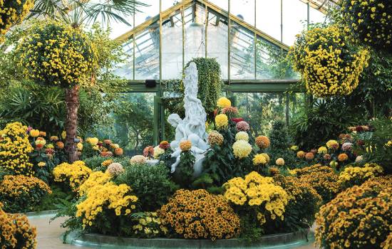 Niagara Falls – Floral Showhouse