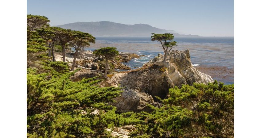 17-Mile Drive, Carmel and Monterey Day Trip