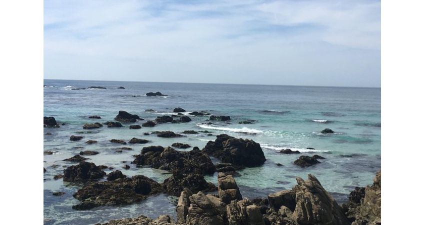 17-Mile Drive, Carmel and Monterey Day Trip