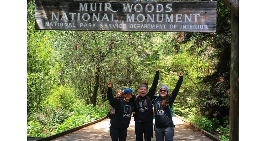 Muir Woods and Sausalito Half Day Tour