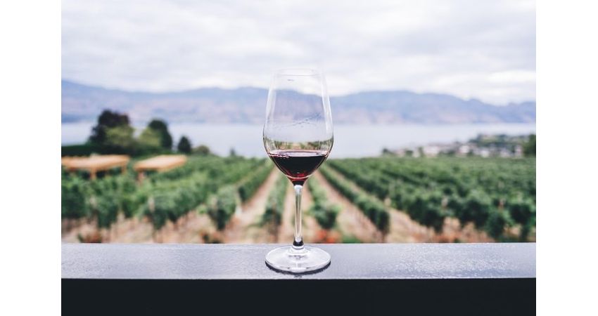 Napa and Sonoma Wine Country Full-Day Tour