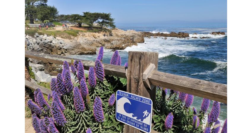 17-Mile Drive, Carmel and Monterey Private Tour