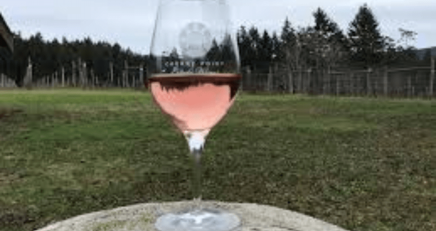Private VIP Tour - Cowichan Valley Wine Tasting, Victoria