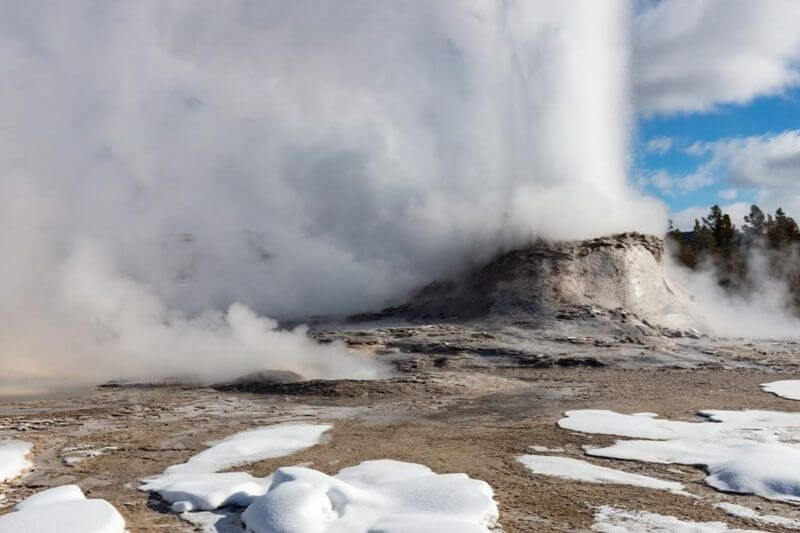 Grand Teton & Yellowstone Wildlife Encounters: Geysers to Grizzlies!