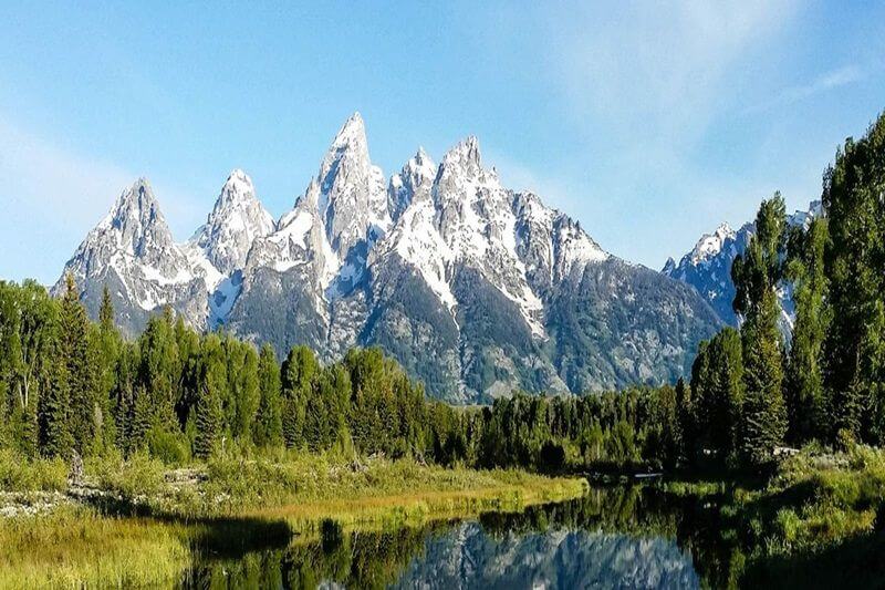 Grand Teton & Yellowstone Wildlife Encounters: Geysers to Grizzlies!