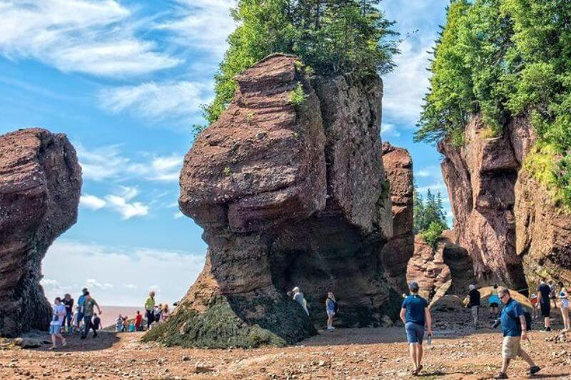 Coastal Journeys & Tidal Wonders Nova Scotia to PEI