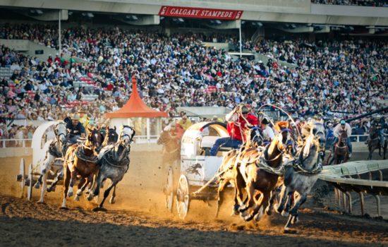 Stampede Adventure: Calgary's Wild West Spectacle