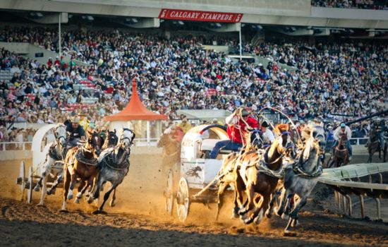 Stampede Adventure: Calgary's Wild West Spectacle