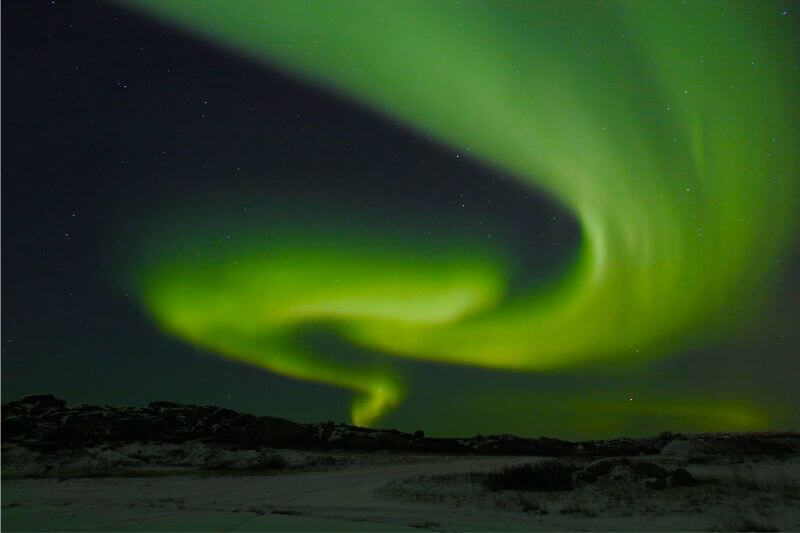 The Ultimate Polar Bear Adventure