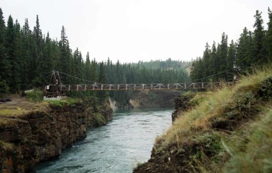 Northern Wonders Anchorage to Whitehorse Tour: Unleash Your Adventure Spirit!