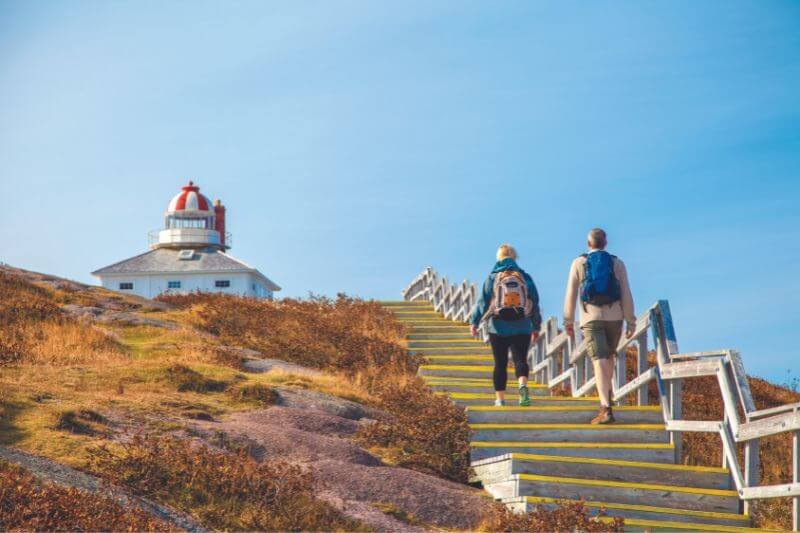 Newfoundland & Labrador Escorted Tour: History & Natural Wonders