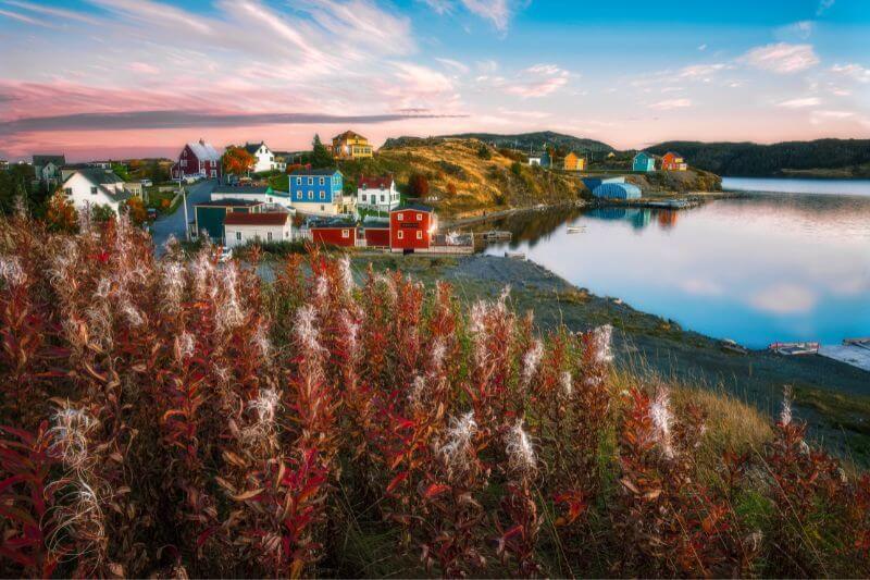 Newfoundland & Labrador Escorted Tour: History & Natural Wonders