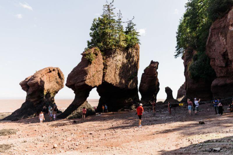 Maritimes to Newfoundland: Epic Coastal Exploration