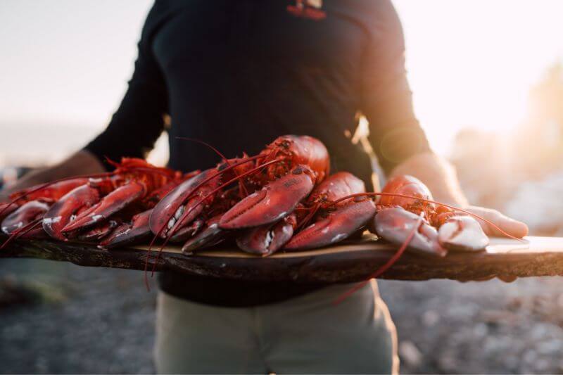 Maritimes to Newfoundland: Epic Coastal Exploration