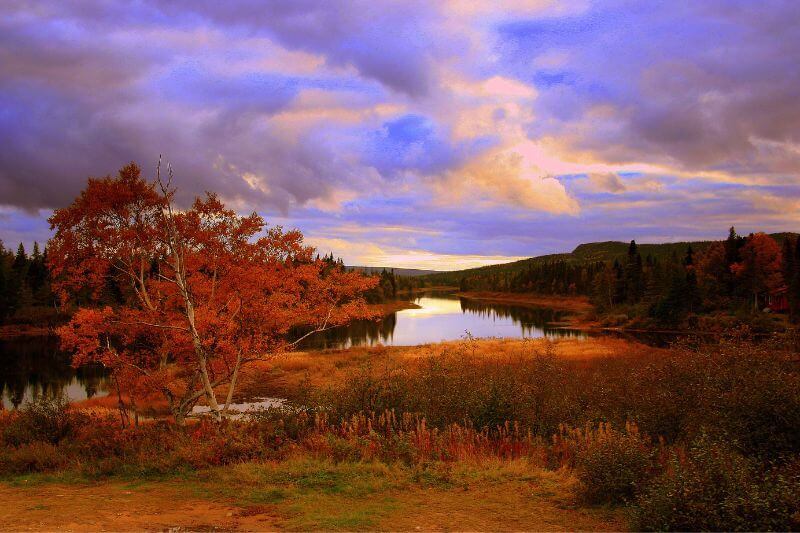 Maritimes to Newfoundland: Epic Coastal Exploration