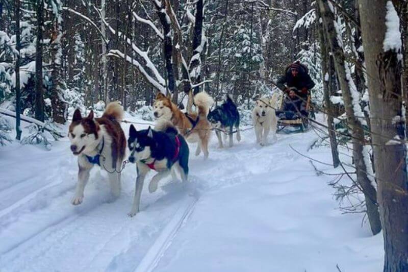 Laurentians Winter Adventure: Lake Morency's Natural Thrills