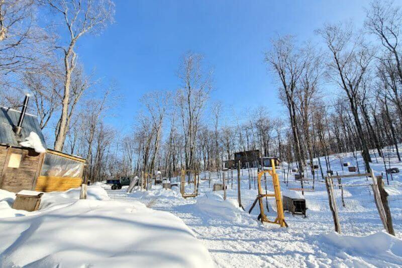 Laurentians Winter Adventure: Lake Morency's Natural Thrills