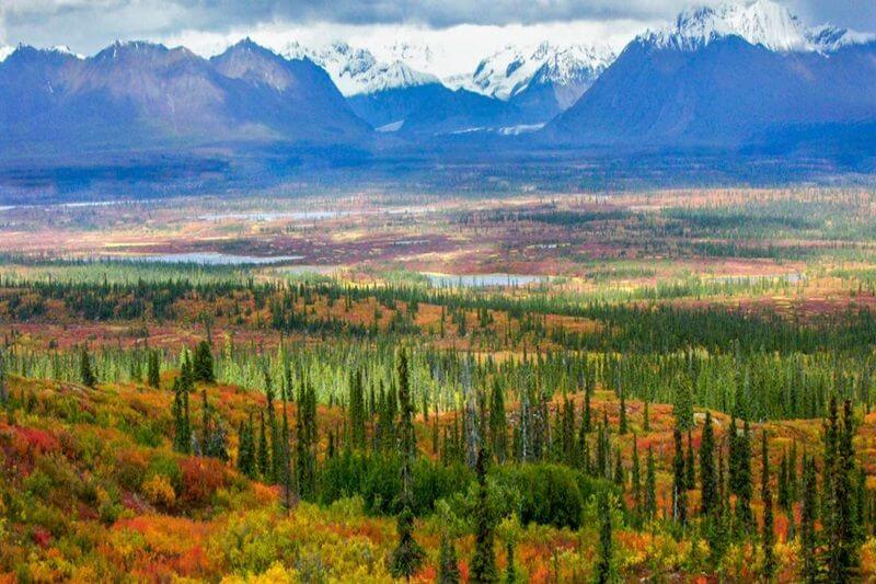 Ultimate Alaska: Glaciers, Wildlife, and Northern Wonders