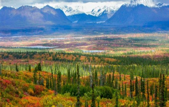 Ultimate Alaska: Glaciers, Wildlife, and Northern Wonders