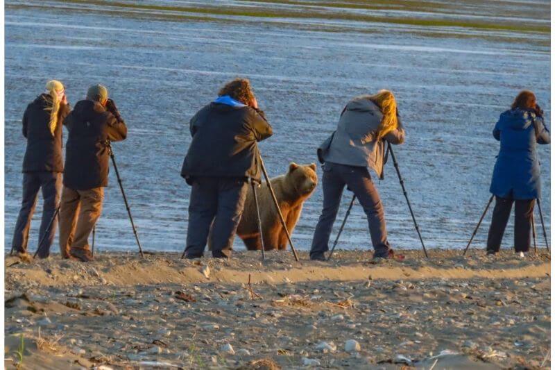 Chinitna Bay Bear Viewing