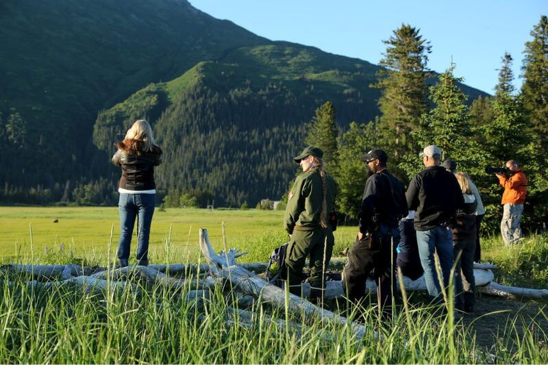 Chinitna Bay Bear Viewing